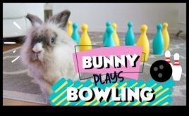 Tavşan Bowling Bonanzası Tavşanlar İçin Klasik Oyunlarda Bir Değişiklik